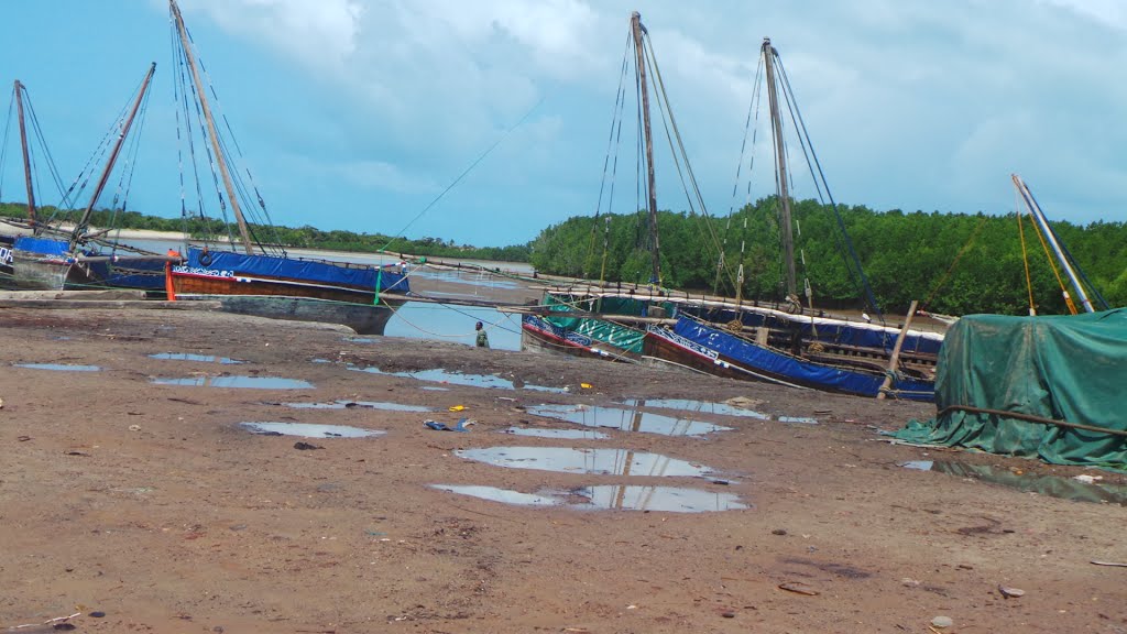 Mkuranga, Tanzania by Tzconnect “TheDiscov…