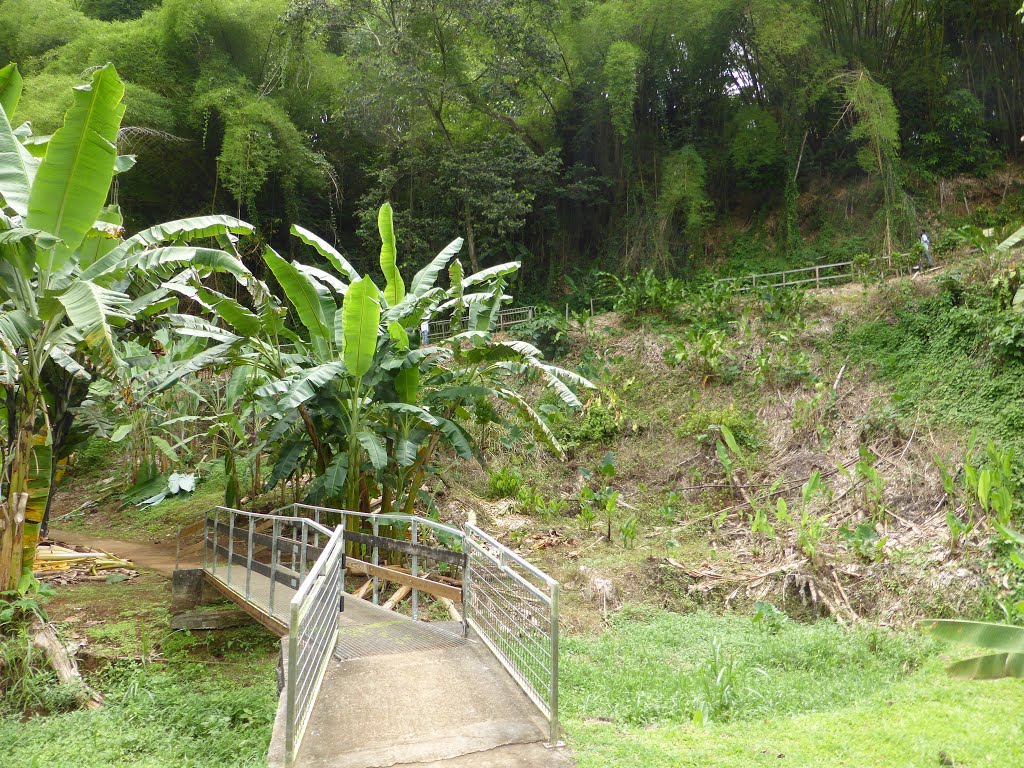 La Trinité, Martinique by rvfr67