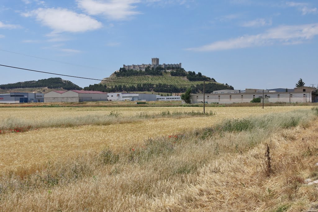 Landschaft bei Peñafiel by Günther Bogensberger