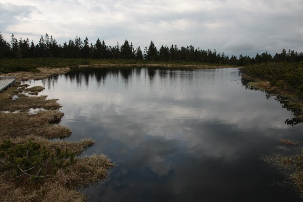 RIBNIŠKO JEZERO by Izidor Ploj