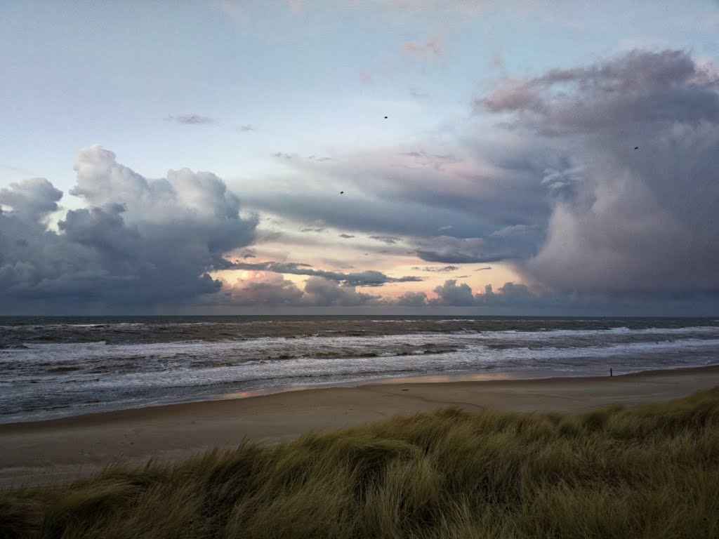 Texel - De Koog - Zeereep - North Sea Beach - View NNW - December 2014 by txllxt TxllxT