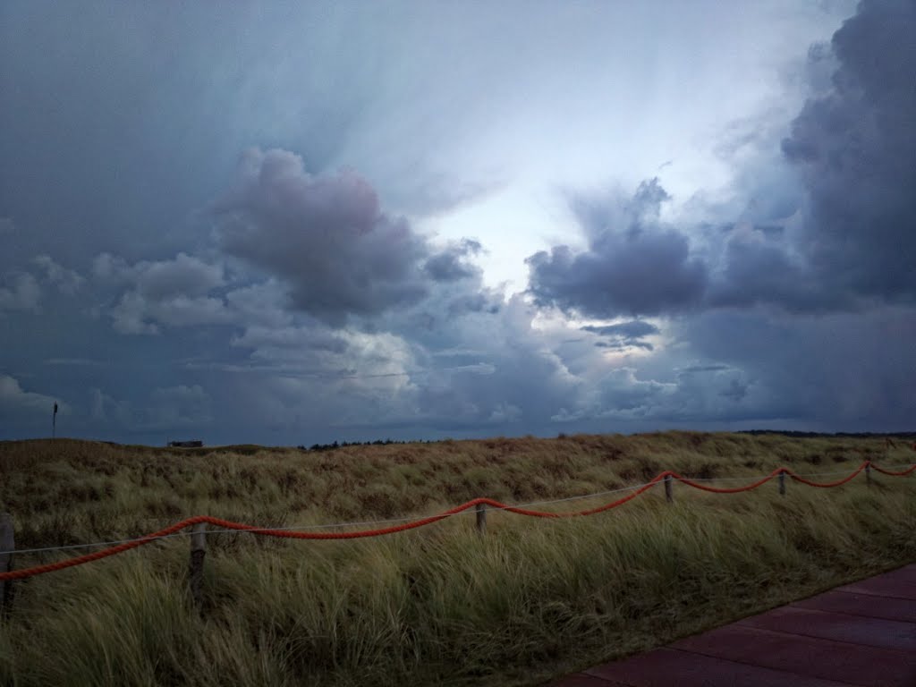 Texel - De Koog - Zeereep - North Sea Beach - View SSE - December 2014 by txllxt TxllxT