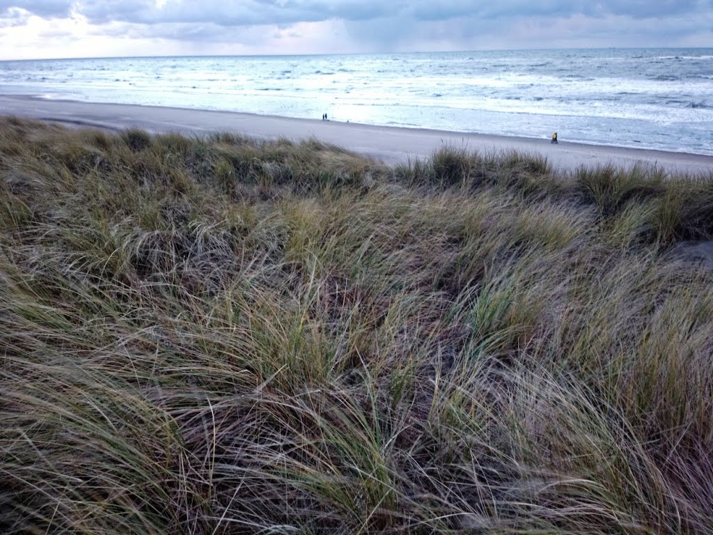 Texel - De Koog - Zeereep - North Sea Beach - View West - December 2014 by txllxt TxllxT