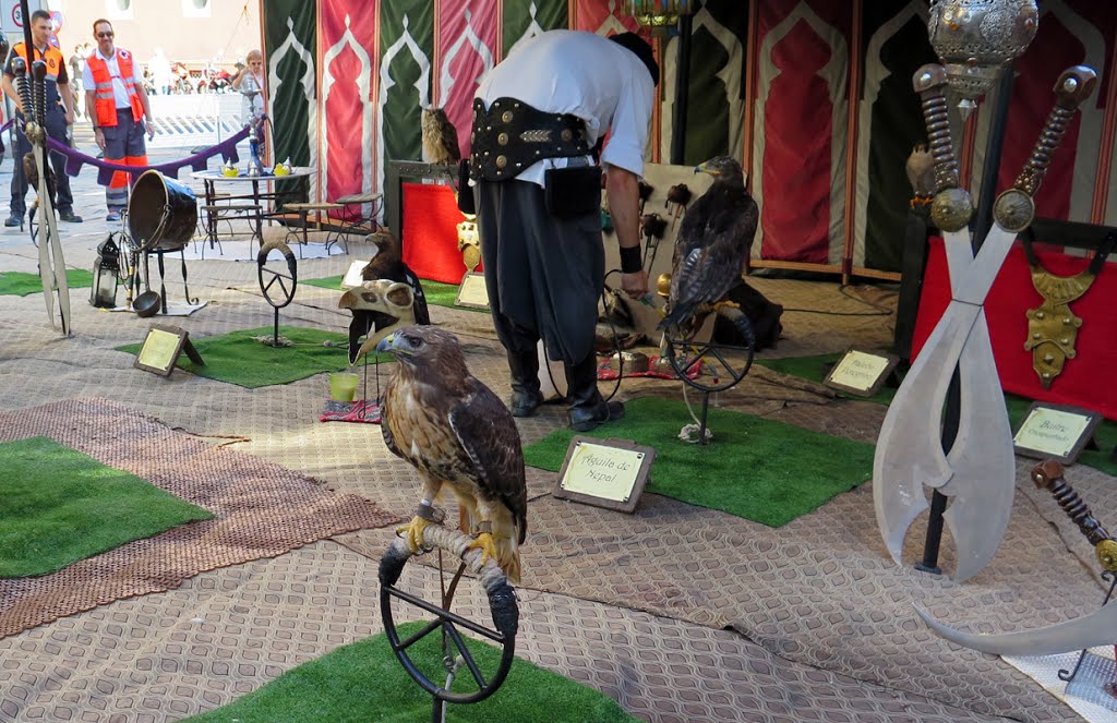 A Coruña - Feria de las Maravillas - Ratonero Jamaicano y Águila del Nepal. by RF Rumbao