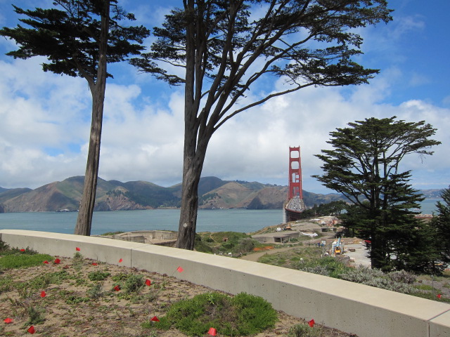 Sea Cliff, San Francisco, CA 94121, USA by Roman Eugeniusz