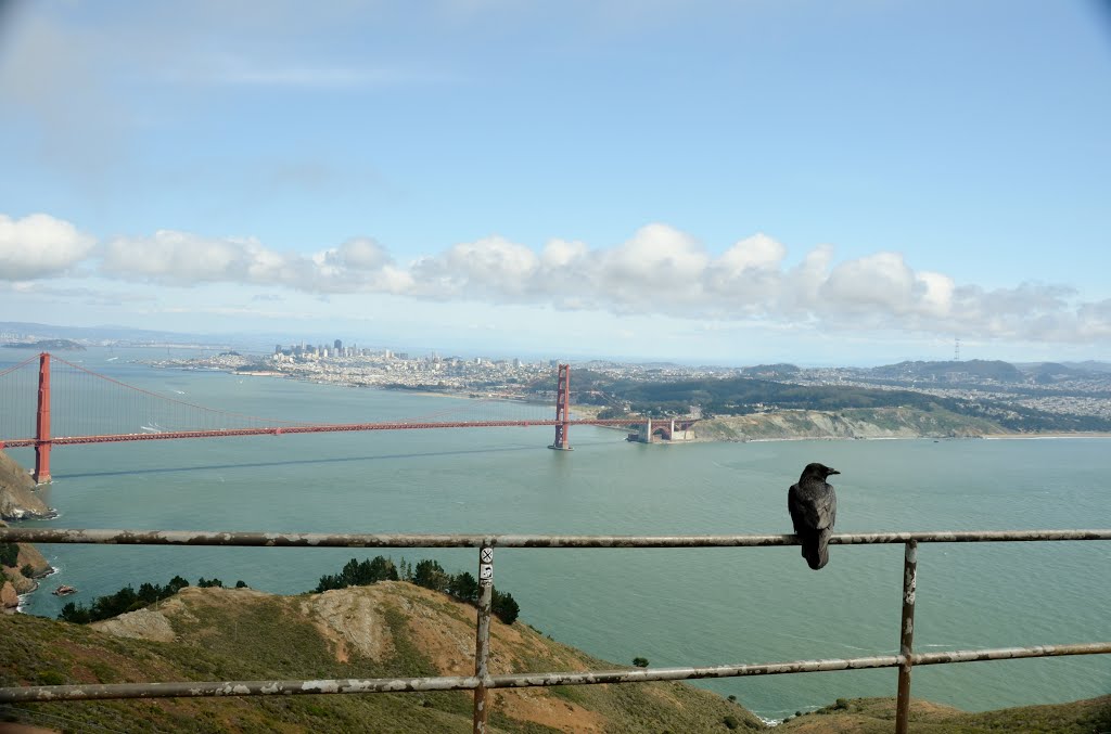 Marin County, CA, USA by Roman Eugeniusz