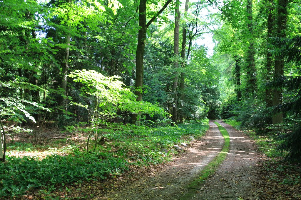 Landgoed Schovenhorst by A den Hartigh