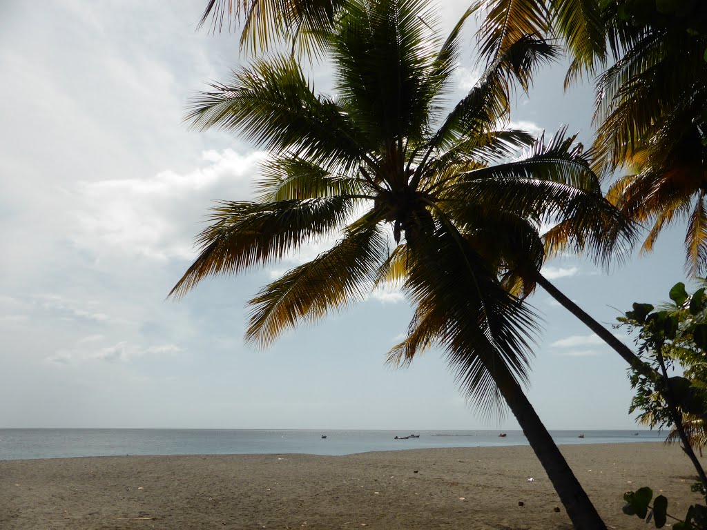 Le Carbet, Martinique by rvfr67