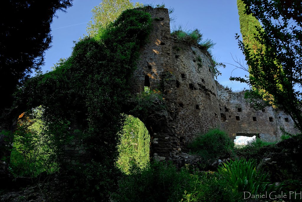 2015-05 Latina (Giardino di Ninfa) By Daniel Galè by Daniel Galè