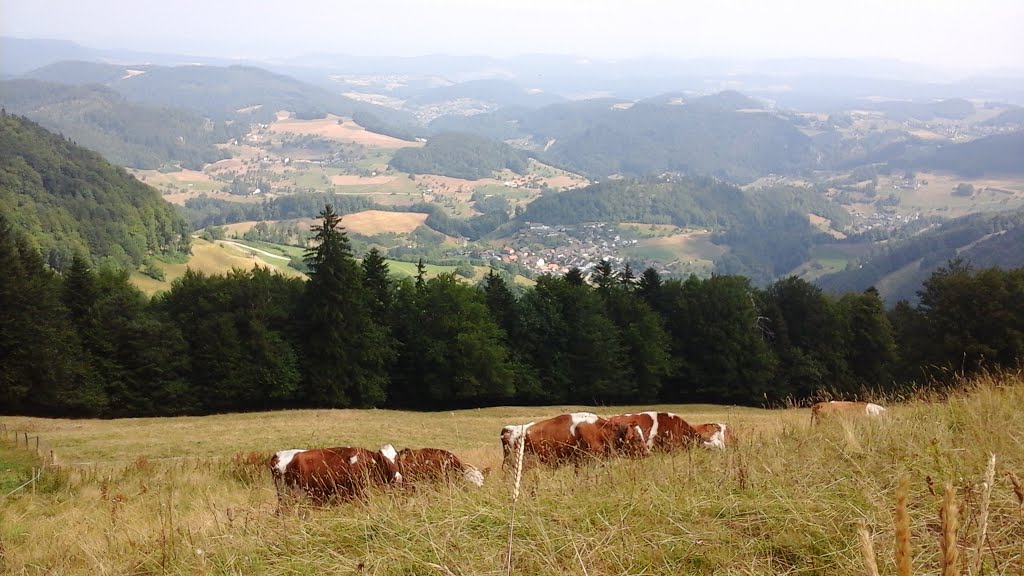 Lauwil, Switzerland by Wschaub 