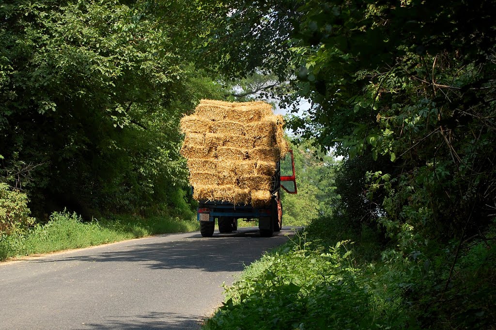 Edde - bekötőút (access road) by Szabó Mihály