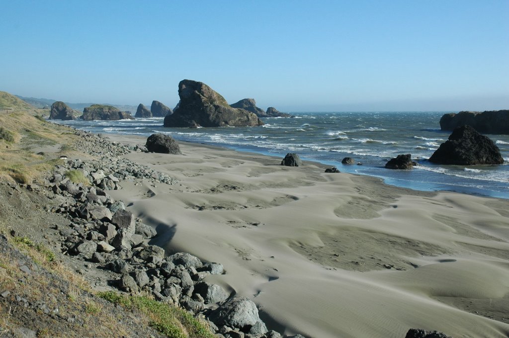 Oregon beach by miro59