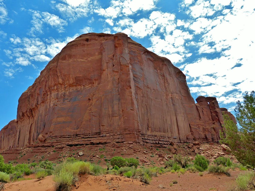 Arizona Oljato Monument Valley by sunmaya