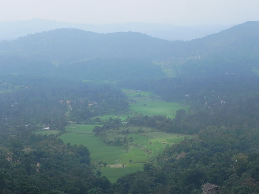 VALLEY VIEW FROM THE RAJA SEAT, MADIKERI by ALENDE DEVASIA