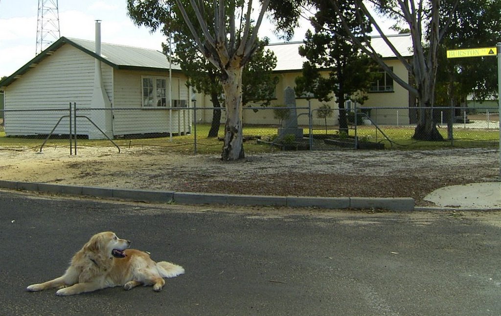 Pingrup WA 6343, Australia by Ruth Rice