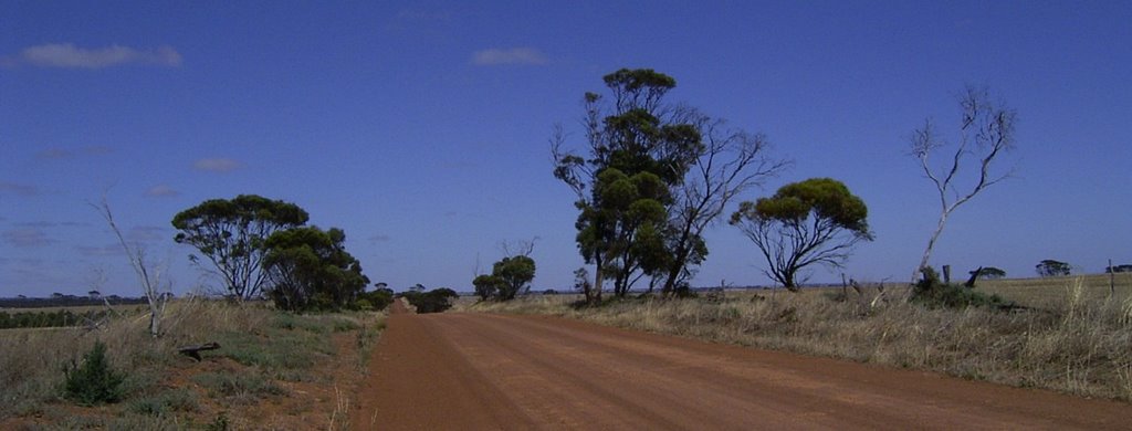 Pingrup WA 6343, Australia by Ruth Rice