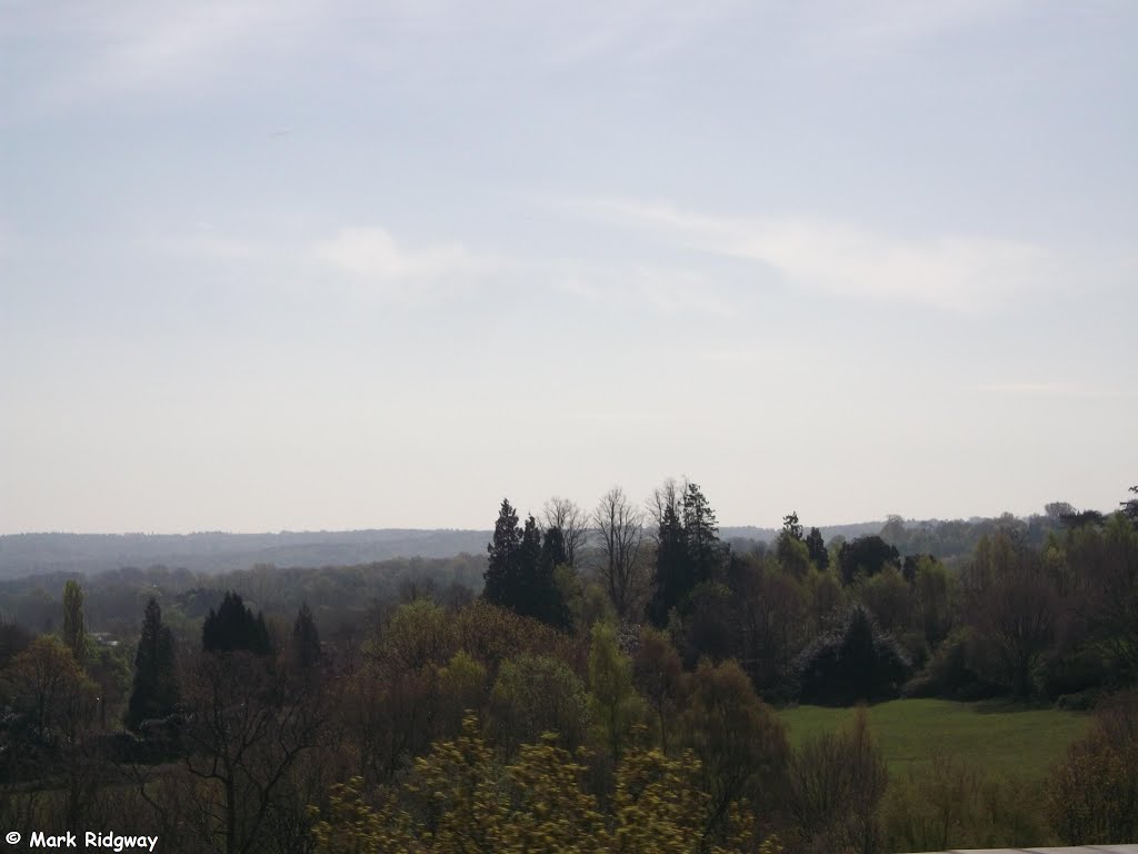 A view of the Sussex countryside from the Bluebell Railway (1) by Mark Ridgway