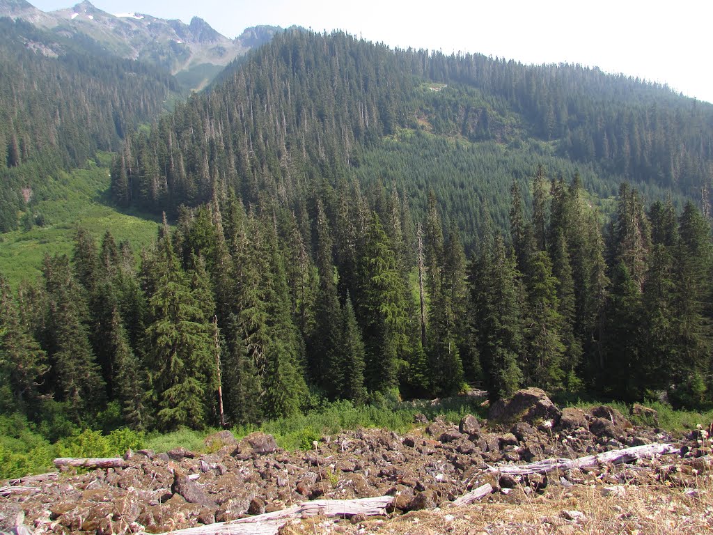 Talus on Twin Lakes Road by Chris Sanfino