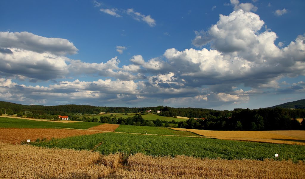 Vilémovice - Kostelík by Wenemoser Jan