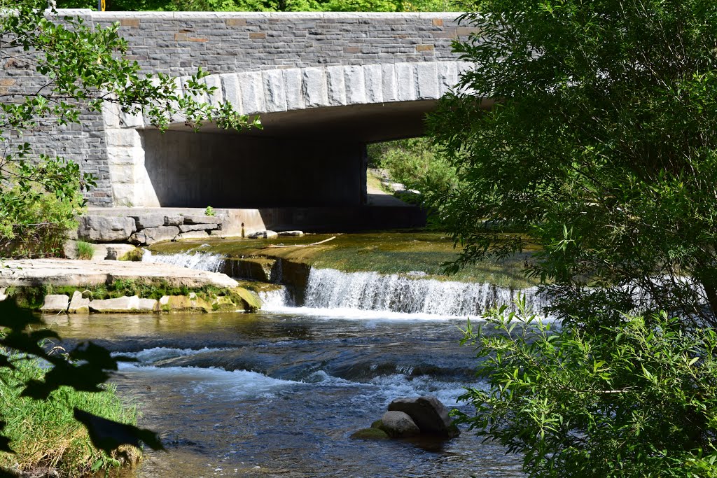 Fenner, NY, USA by Paul Hughes