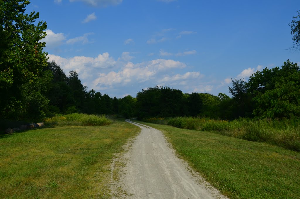 Panhandle Trail by Ryan Mori