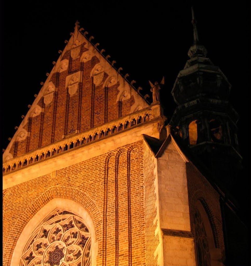 Bazilika Nanebevzetí Panny Marie, Brno-střed, Česká republika, Czechia by Petr Sojka