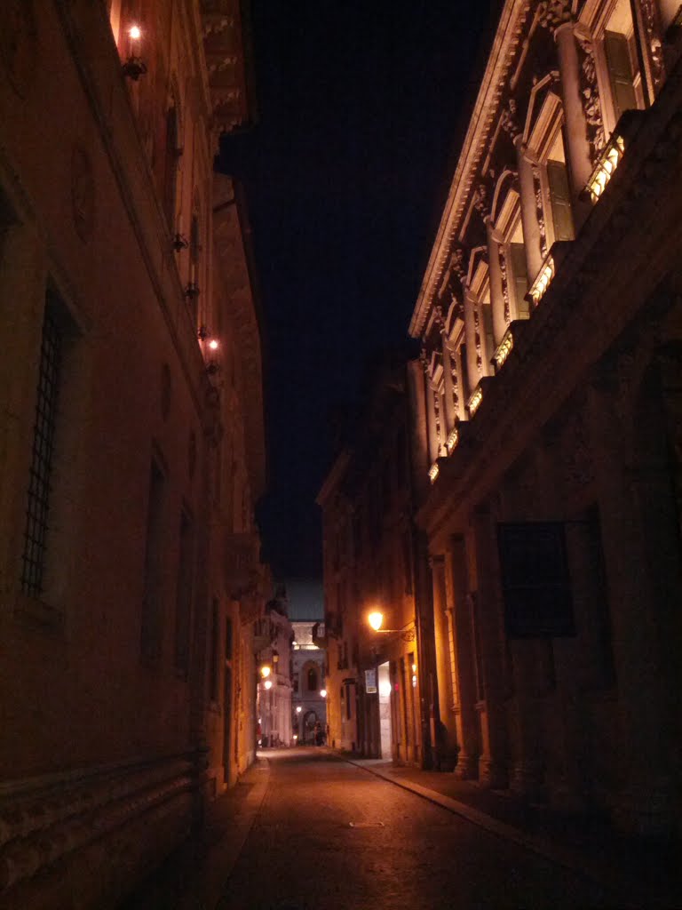 Vicenza by night by Andrea Dalla Frances…