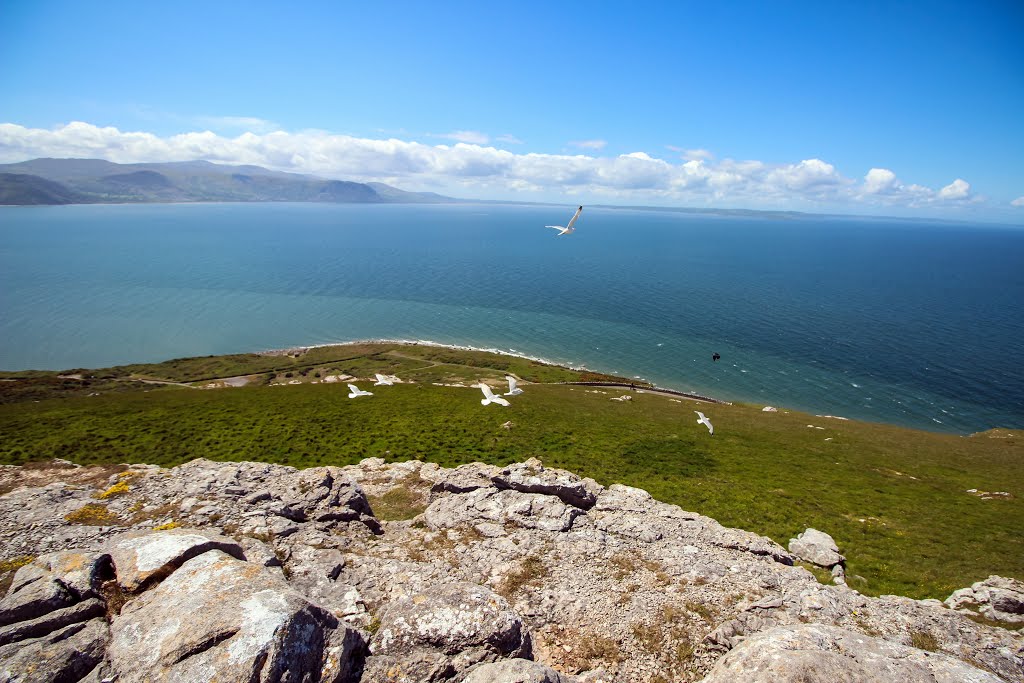 Llandudno, UK by Dmitrij M