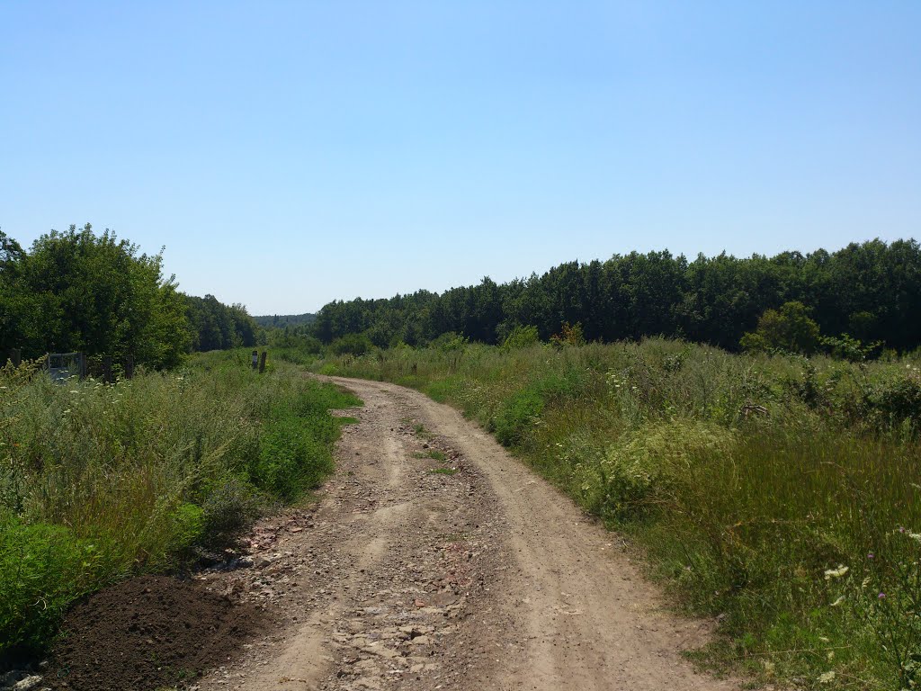 Proletars'kyi district, Donetsk, Donetsk Oblast, Ukraine by bark bark