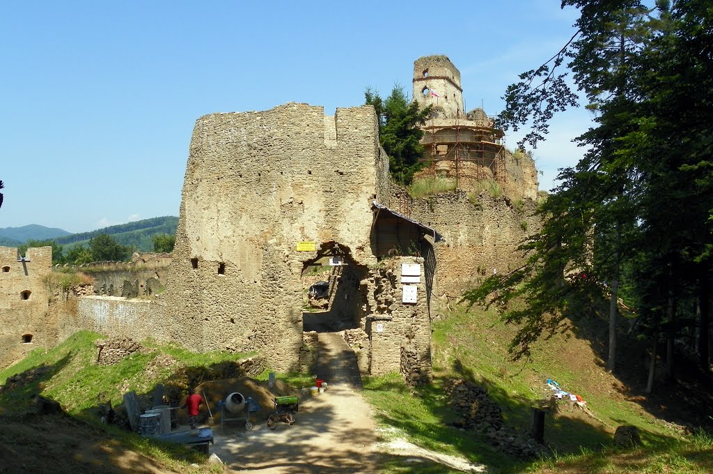 Ruins of Castle Zborov by Martin Roth