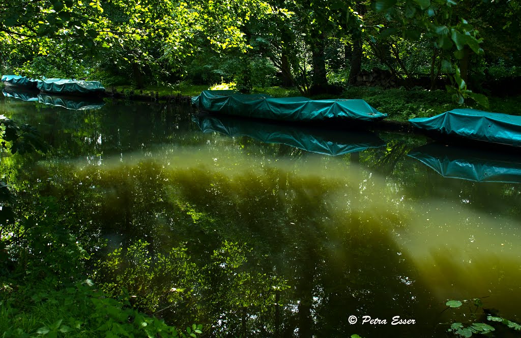 Lübbenau, Germany by Petra Esser