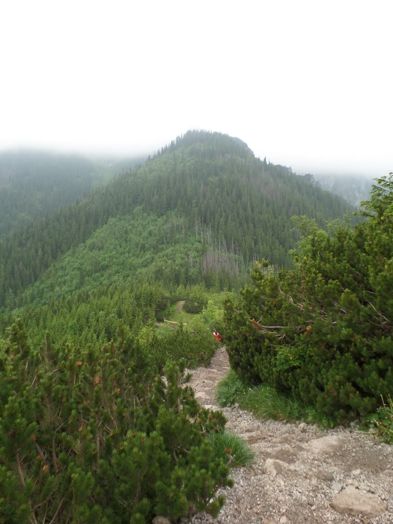 Zakopane, Poland by enonim