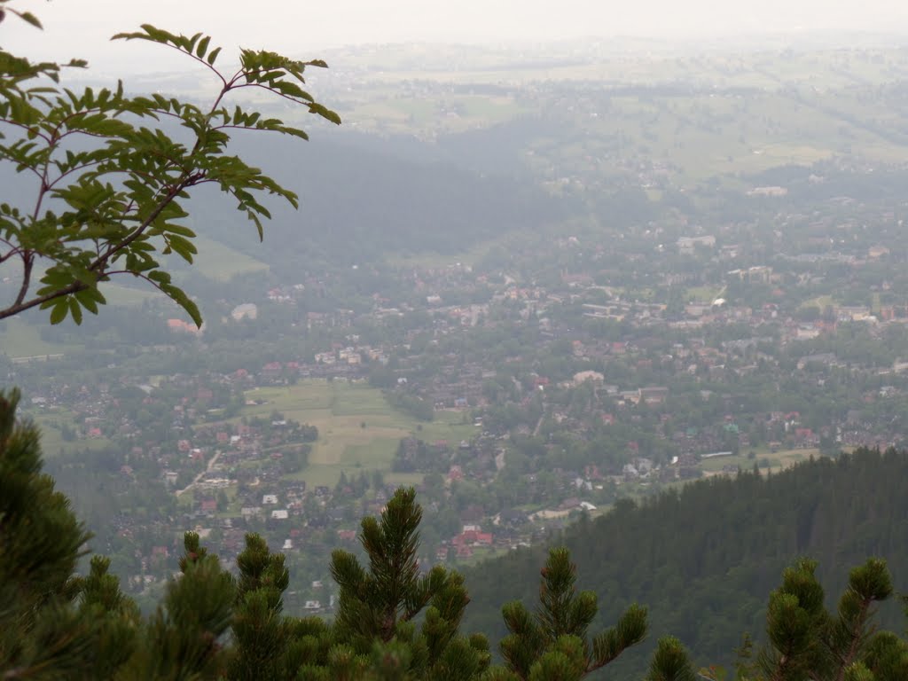 Zakopane, Poland by enonim