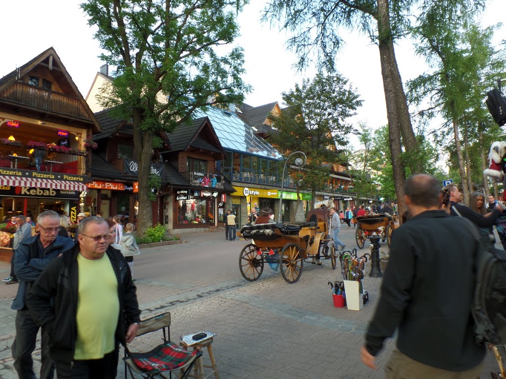 Zakopane, Poland by enonim