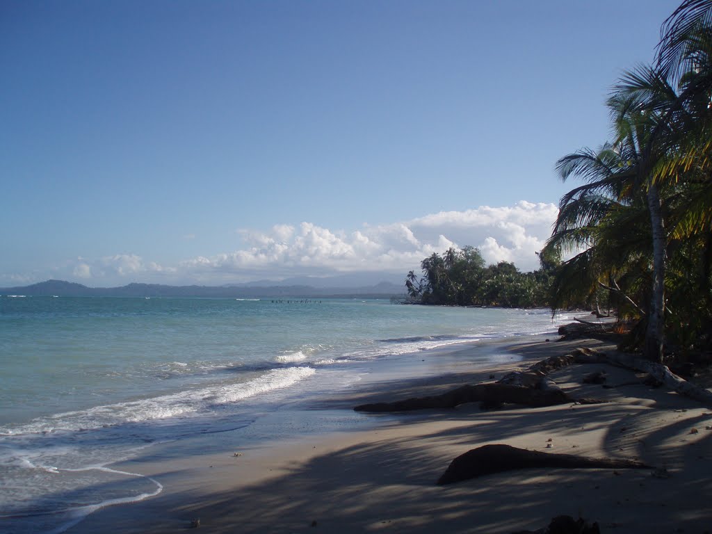 Cahuita playa by David Ancèze