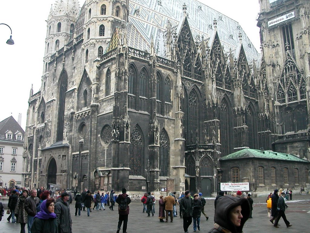 Vienna: Stephansdom by Doron