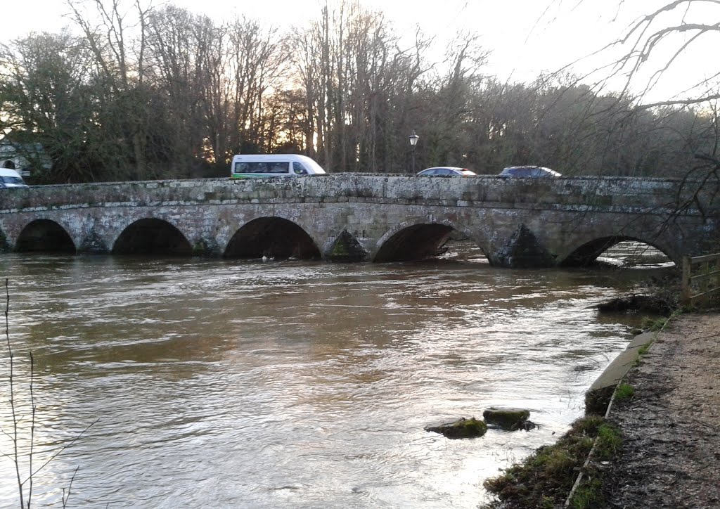 Stour Bridge, Blandford Forum, Dorset DT11, UK by Phlipflop