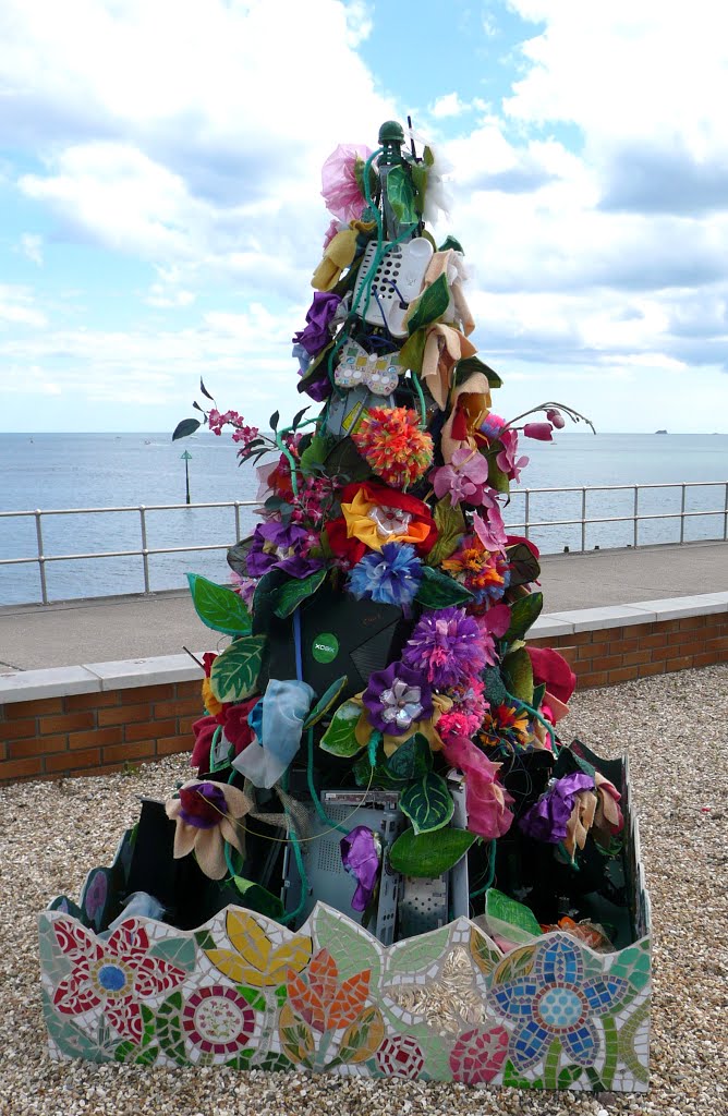 Teignmouth, UK by Tony Carter