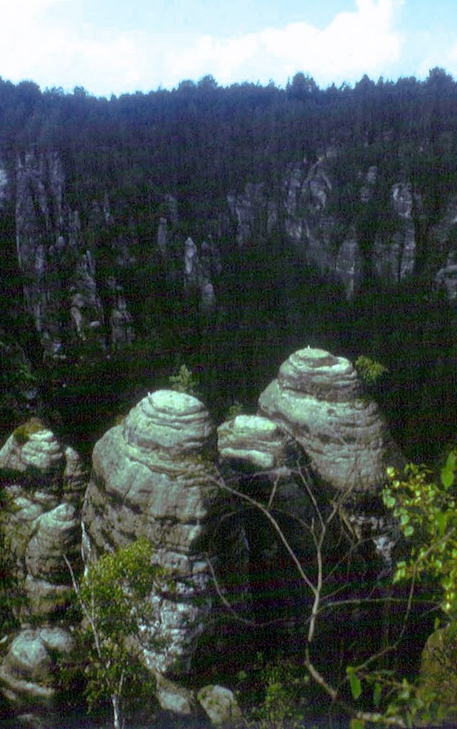 Bastei, Sächsische Schweiz, Germany by Peter Kesselyak