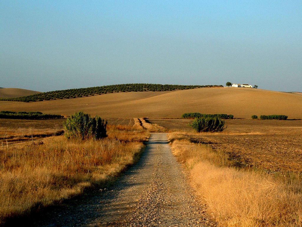 La Pista by Pepe G Romera