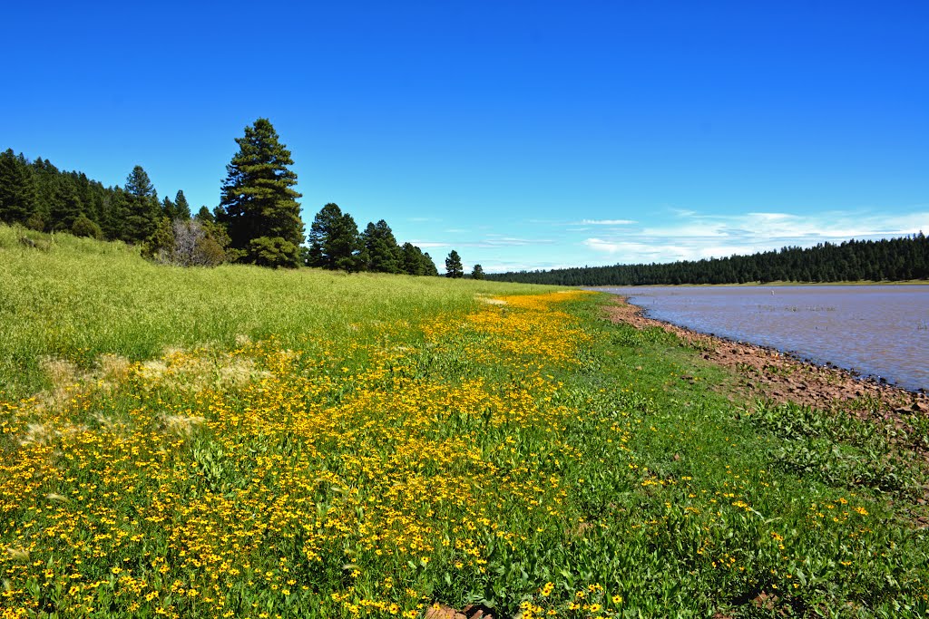 Lake Mary, Coconino County by Ivanaze