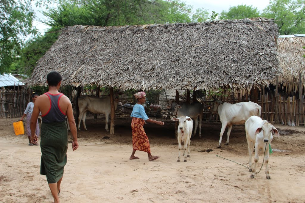 Shwe Htaing Village by sarthit medhasith Su…