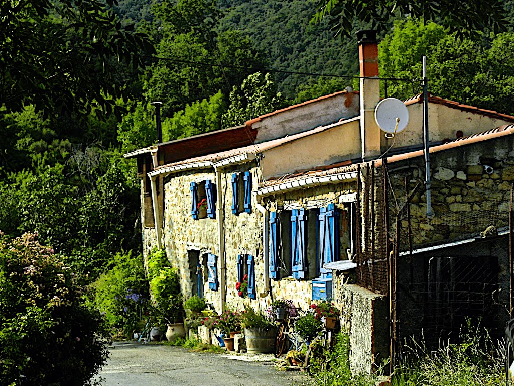 Cubièras de Peirapertusés - Occitania by Franc Bardou