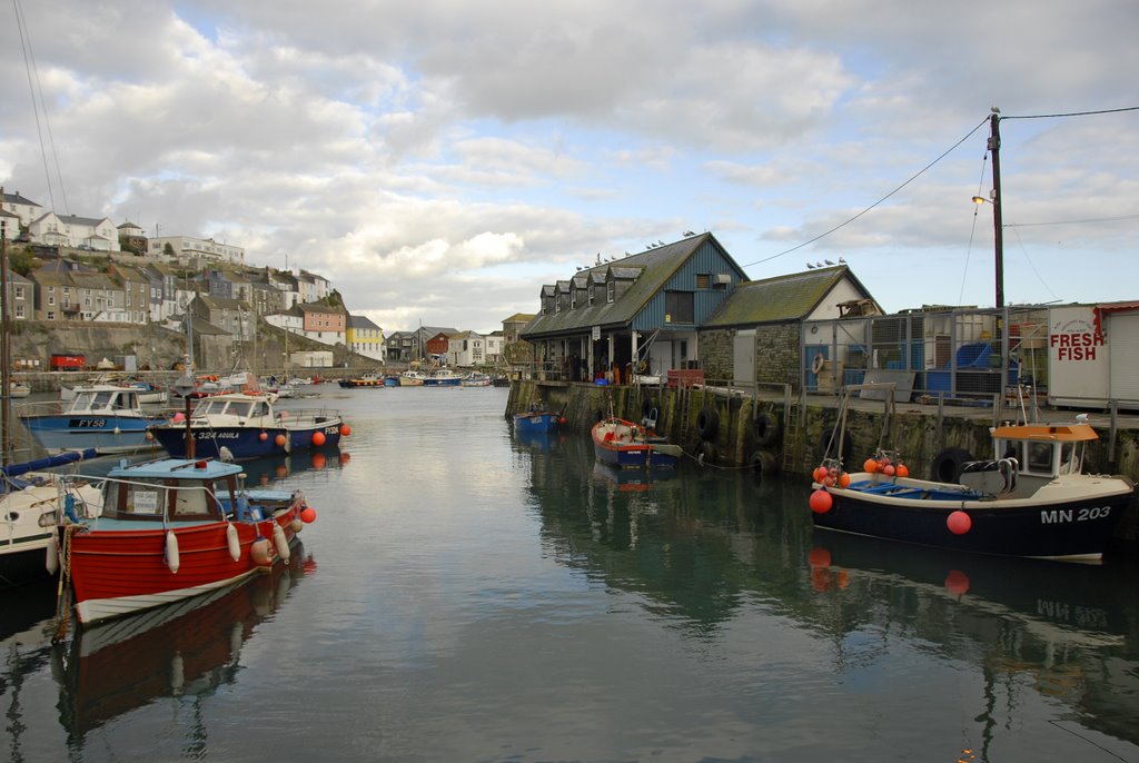 Mevagissey Harbour by Fred Wilkinson