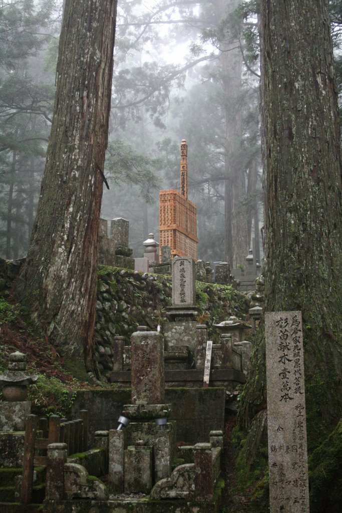 Grave Yard, Koyasan by Tracy Sparkes