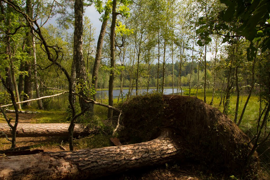 Gmina Piecki, Poland by Aga Viburno