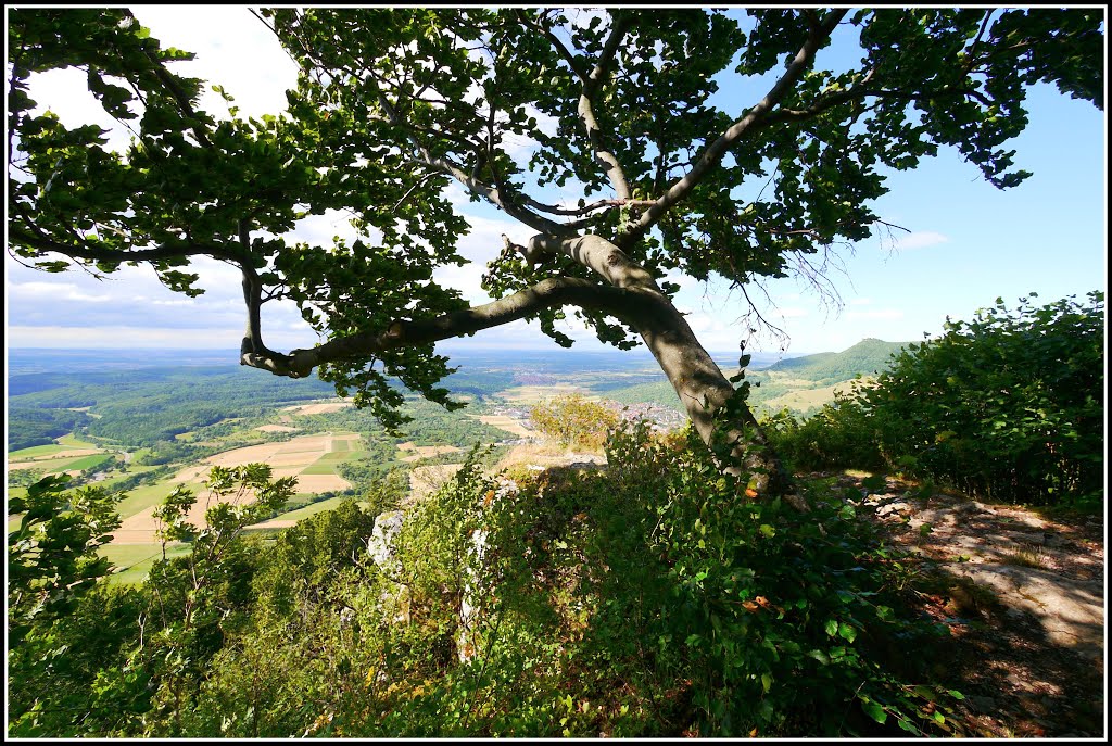 Blick hinüber zur Teck by Alfred Volk