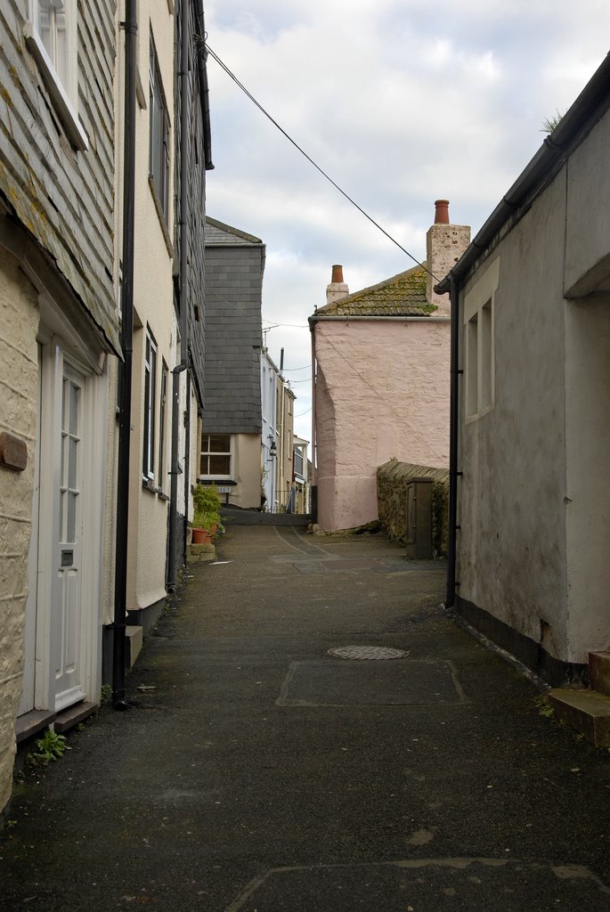 Lane Bordering Mevagissey Harbour by Fred Wilkinson