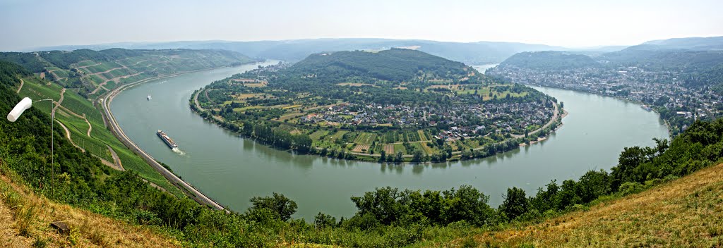 Rheinschleife bei Boppard - 2 - Panorama - Rheinradweg - 03.07.2015 by torte276