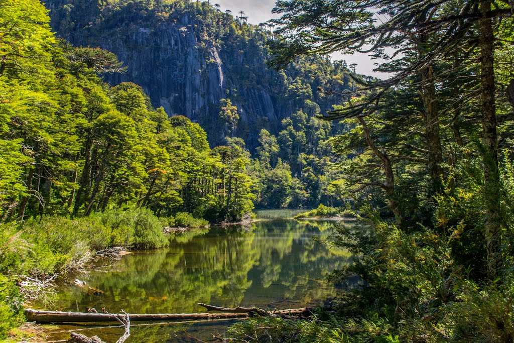 Lago Chico by jobdriest